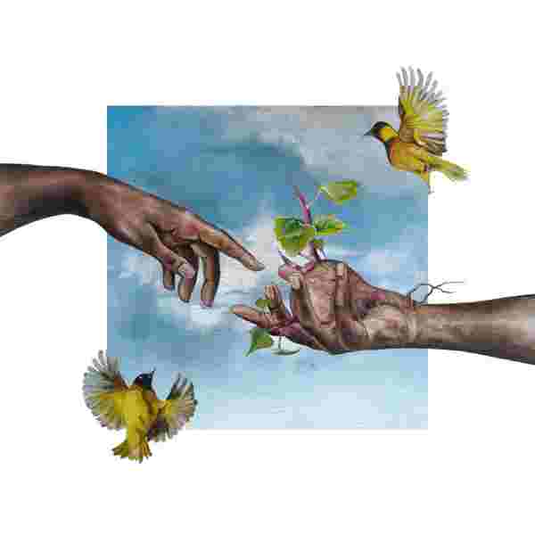 On a large wite square we see two hand passing a root vegetable with greens growing out of it and two weaver birds in the top right and lower left corner infront of a smaller square depicting the blue sky with white clouds