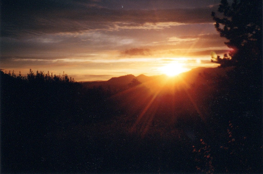 summermemories011