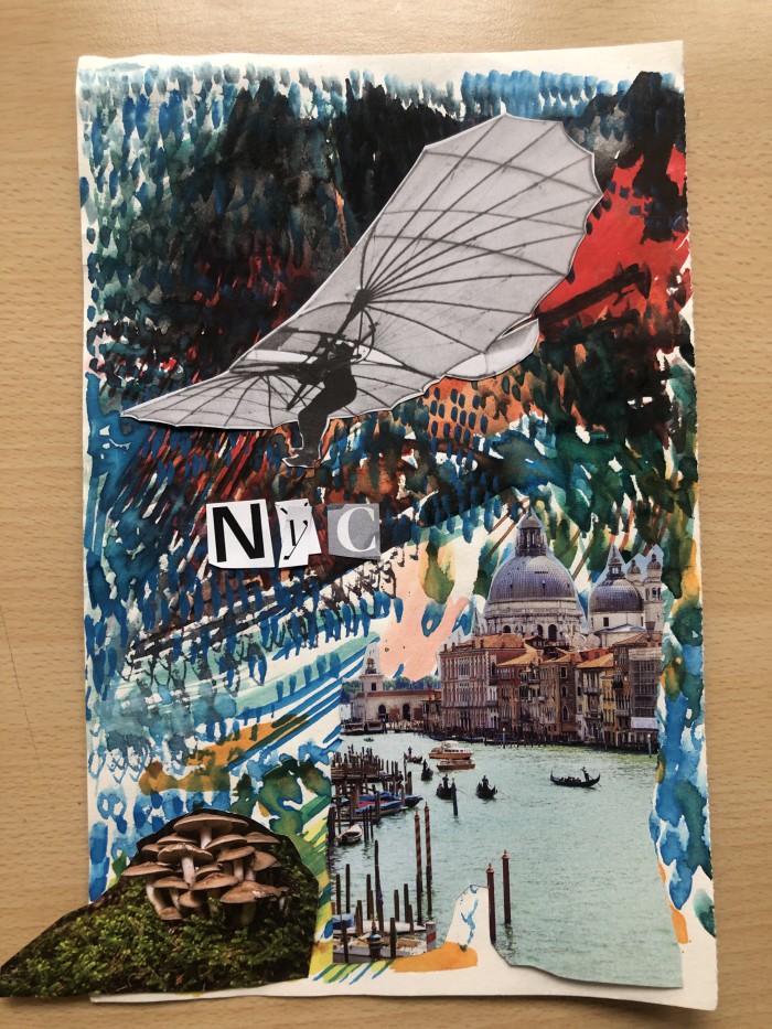 We see a watercolor image of many colorful brush strokes, mainly blues, greens and red with added cut outs of a fiel of mushrooms to the bottom left, venice bottom right and on top a black and white image of an Ornithopter. in the middle we see the cut out letters N Y C